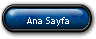 Ana Sayfa