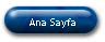 Ana Sayfa